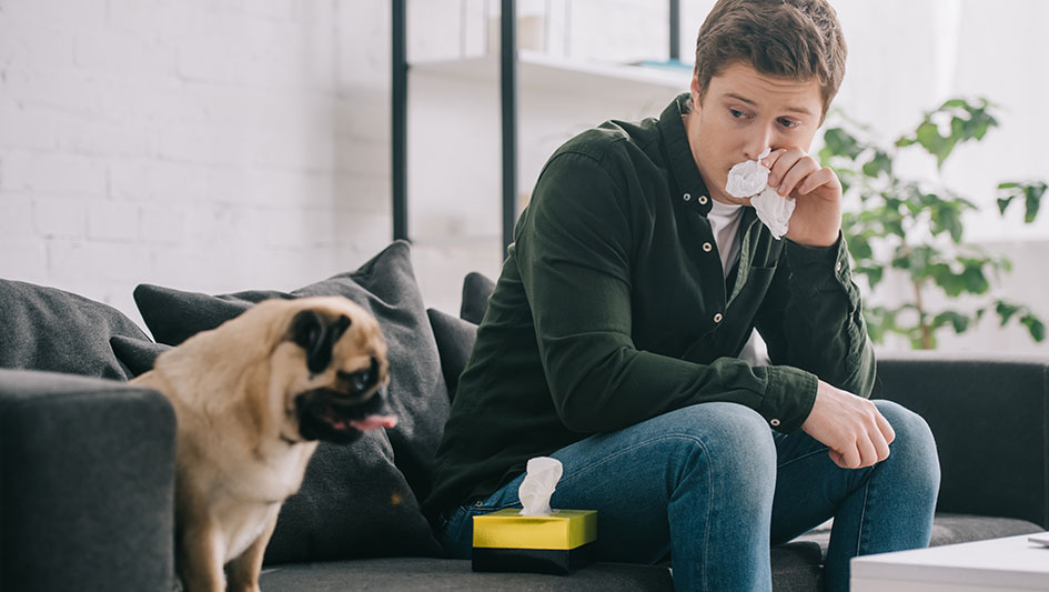 Installing an air purifier is one of the smartest approaches to improve your home’s indoor air quality. Learn more about the three top options. 